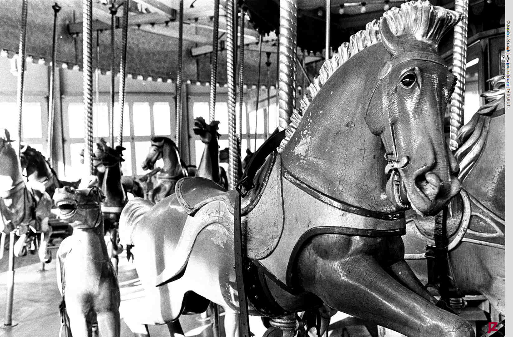 Savin Rock and Its Flying Horses